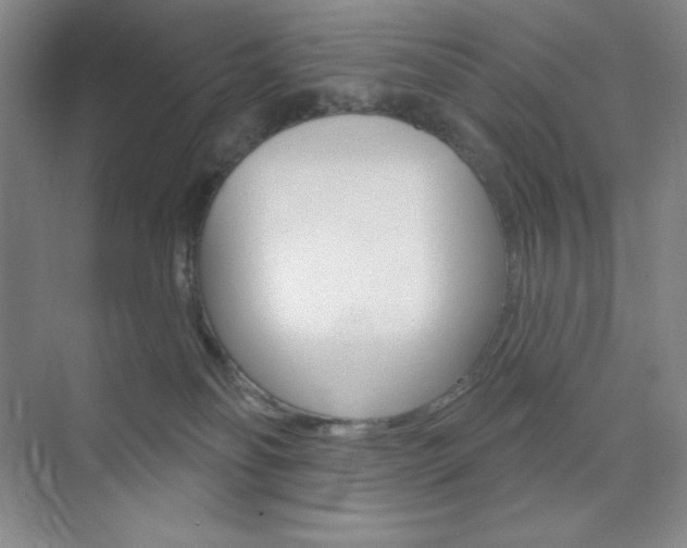 X0000073830134200608101011