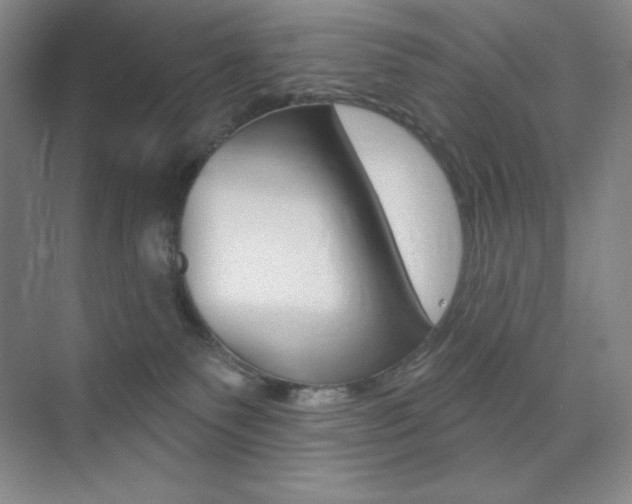 X0000073830135200608101011