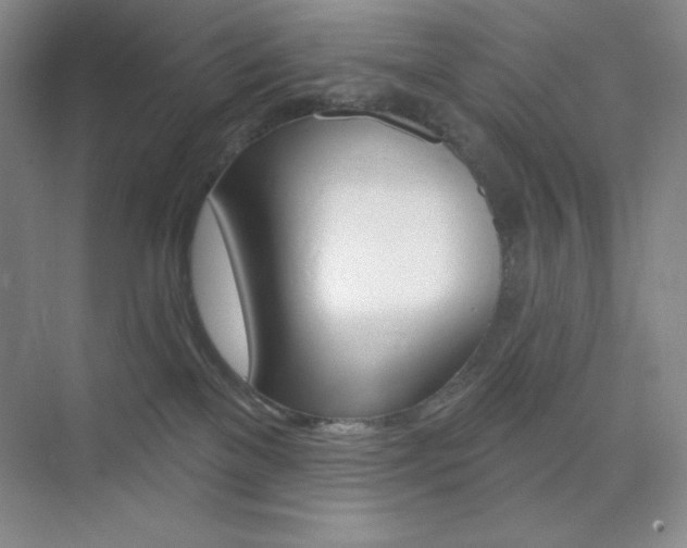 X0000073830137200608101011