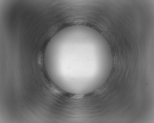 X0000073830138200608101011