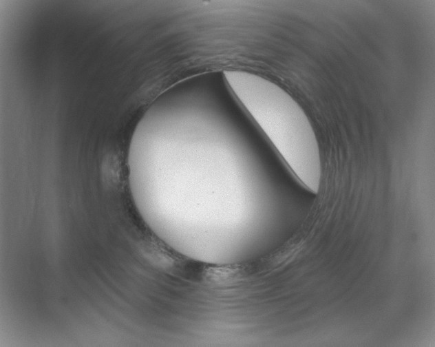 X0000073830139200608101011