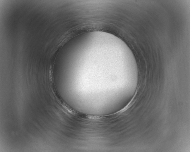 X0000073830144200608101011