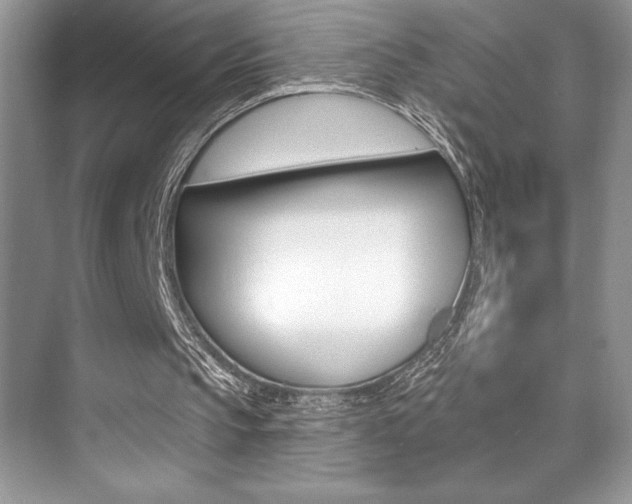 X0000073830145200608101010