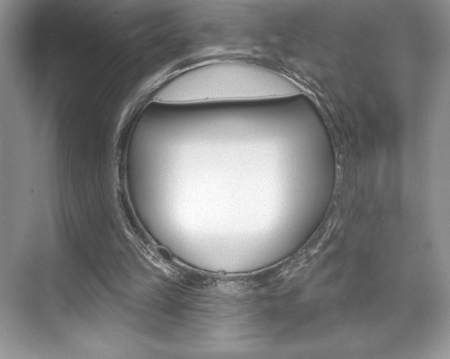 X0000073830149200608101010