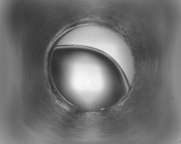 X0000073830150200608101010