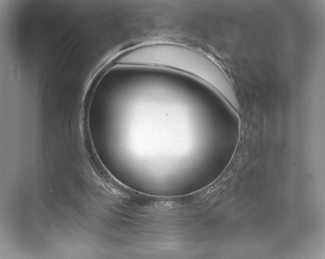 X0000073830152200608101010