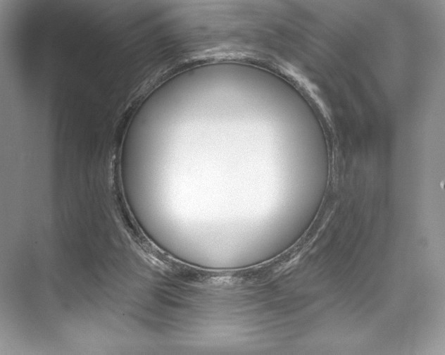 X0000073830153200608101010