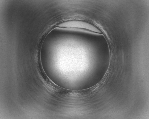 X0000073830154200608101010