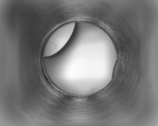 X0000073830155200608101010