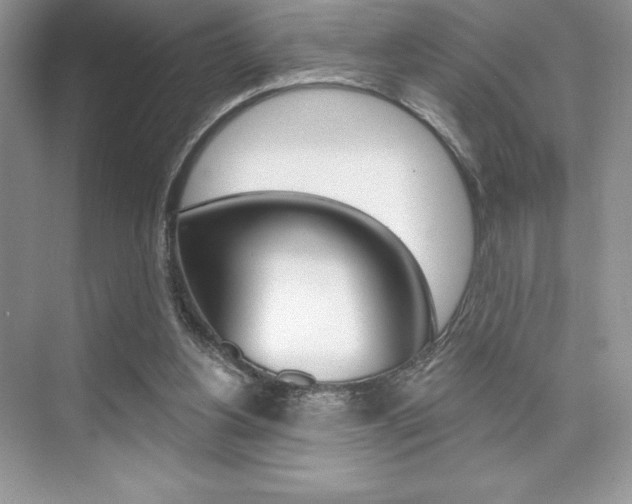 X0000073830156200608101010