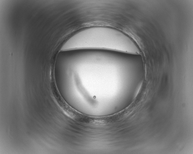 X0000073830157200608101010