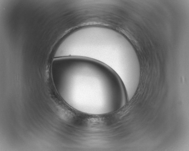 X0000073830160200608101010