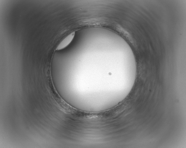 X0000073830161200608101010