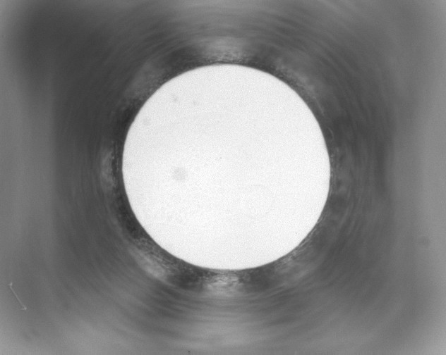 X0000073830162200608101010