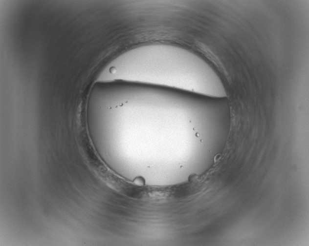 X0000073830163200608101010