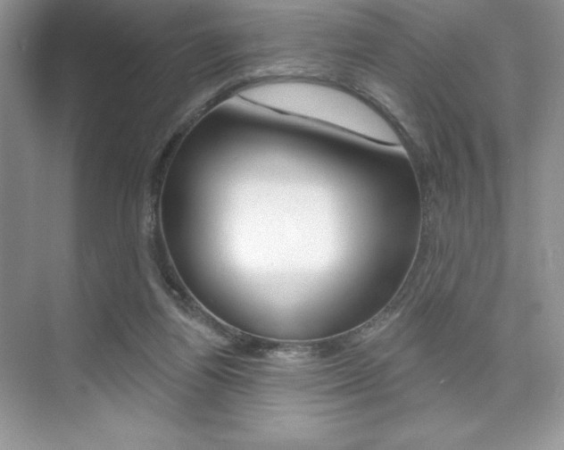 X0000073830164200608101010