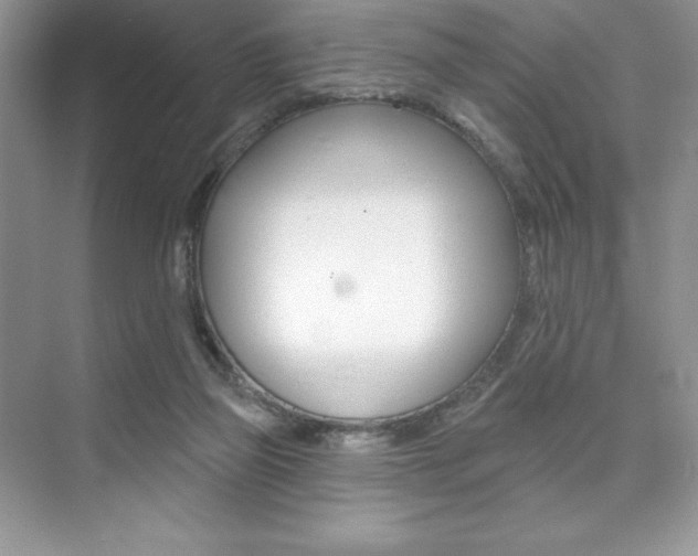 X0000073830165200608101010