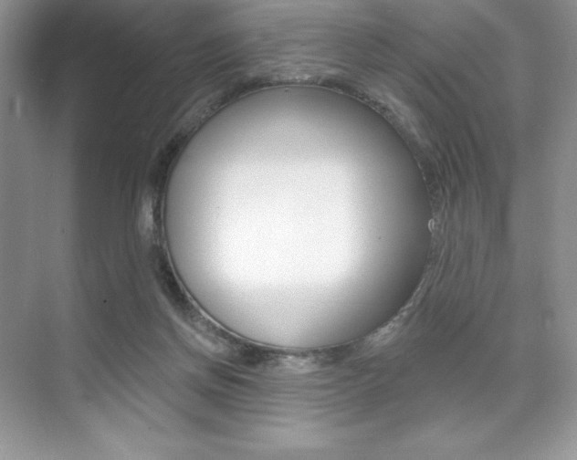 X0000073830166200608101010