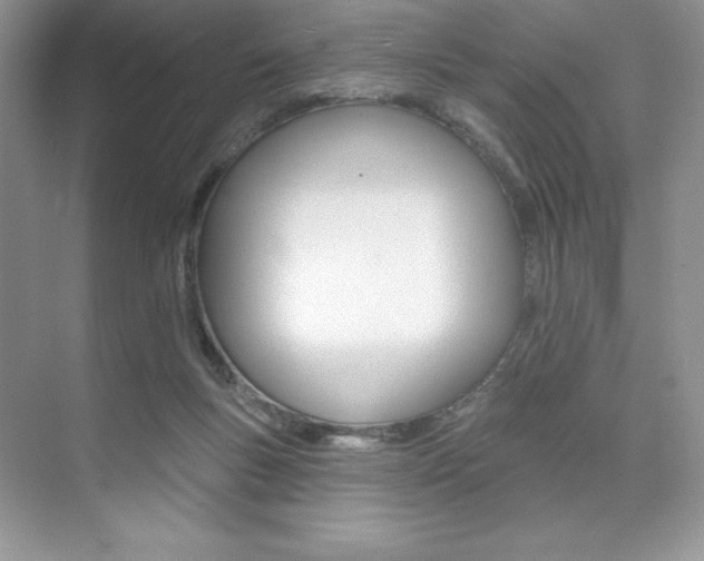 X0000073830167200608101010