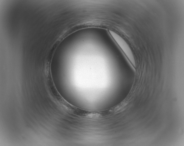 X0000073830168200608101010