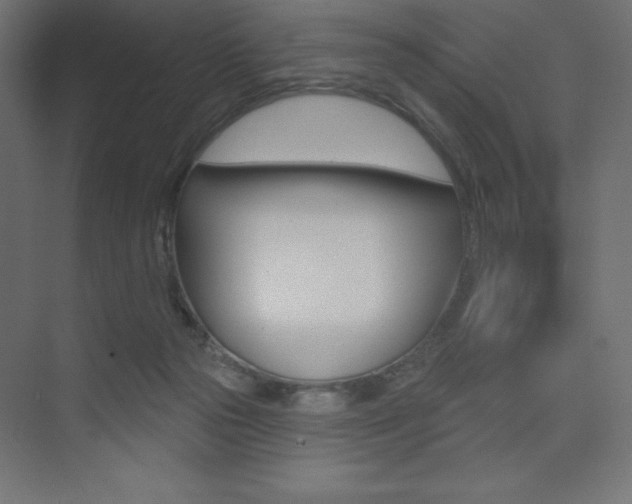 X0000073830169200608101010