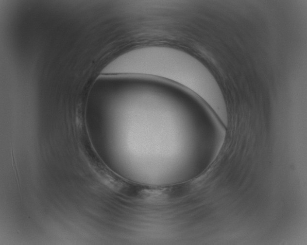 X0000073830170200608101011