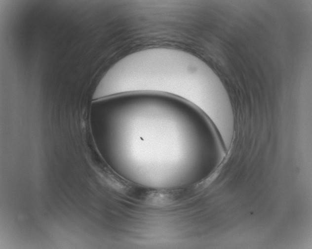 X0000073830174200608101011