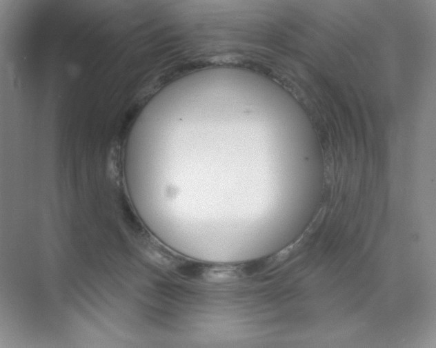 X0000073830175200608101011