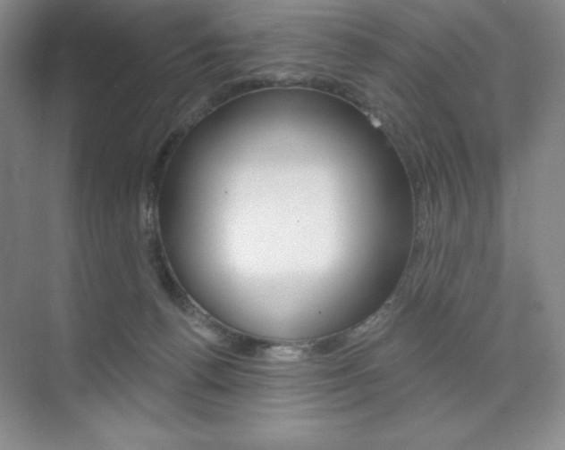 X0000073830176200608101011