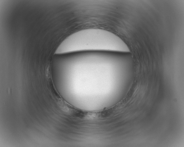 X0000073830177200608101011