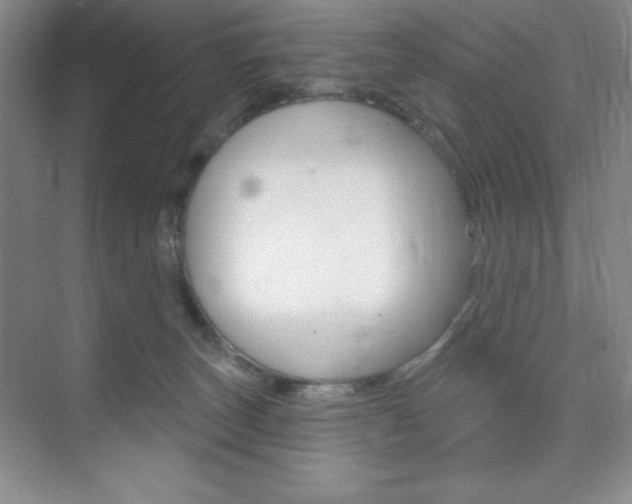 X0000073830179200608101011