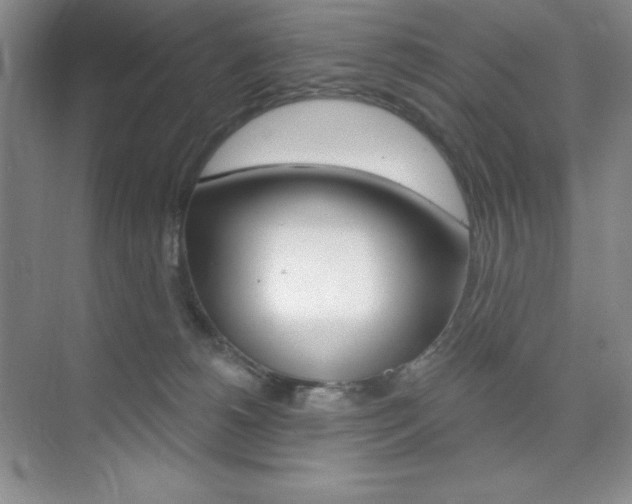 X0000073830180200608101011