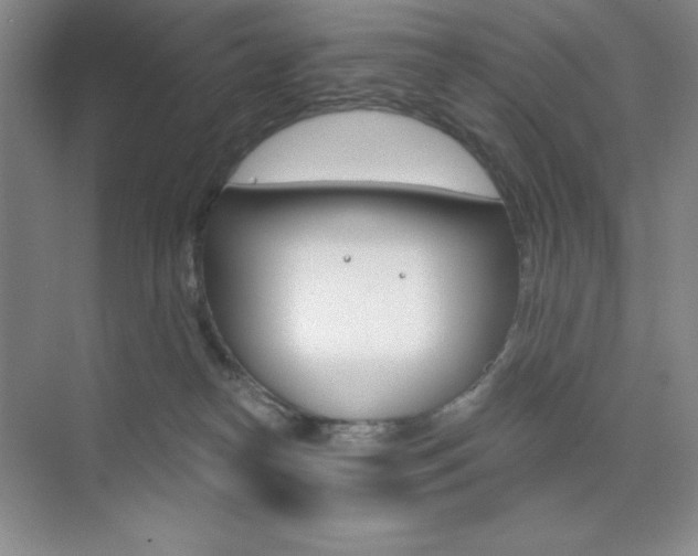 X0000073830182200608101011