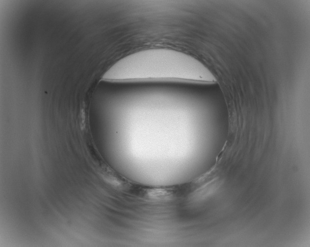 X0000073830183200608101011