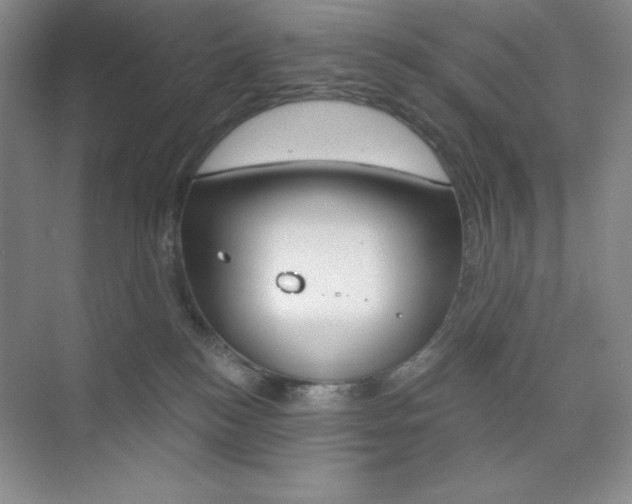 X0000073830184200608101011