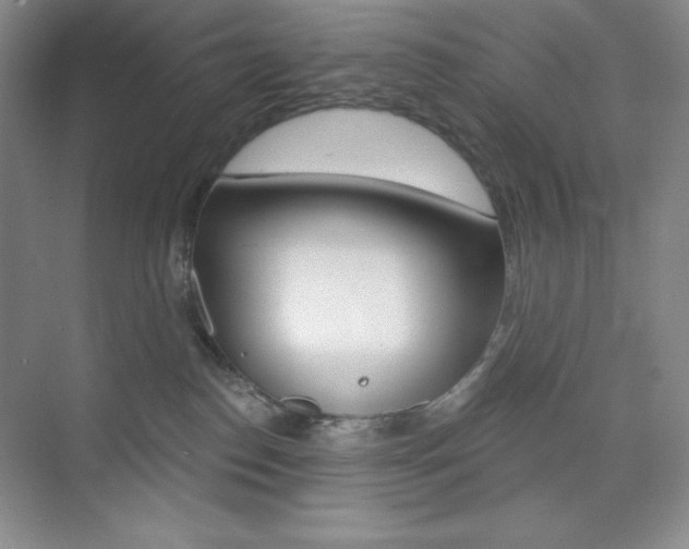 X0000073830186200608101011