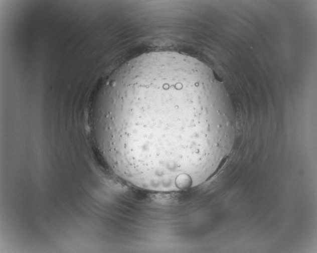 X0000073830187200608101011