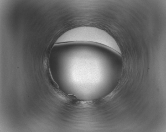 X0000073830188200608101011