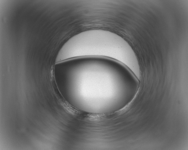 X0000073830190200608101011