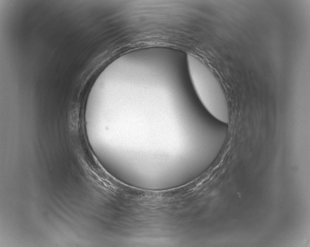 X0000073830194200608101010