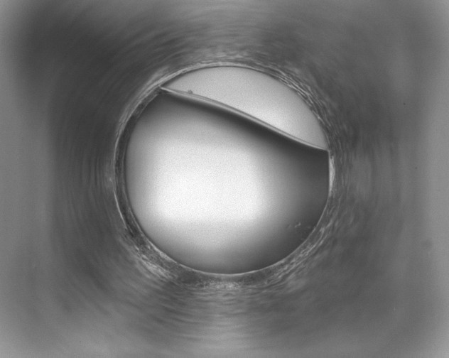 X0000073830195200608101010