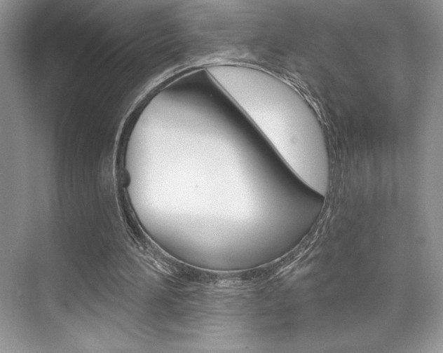 X0000073830196200608101010