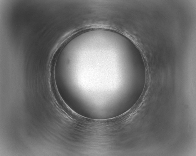 X0000073830199200608101010