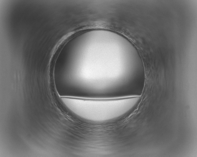 X0000073830200200608101010