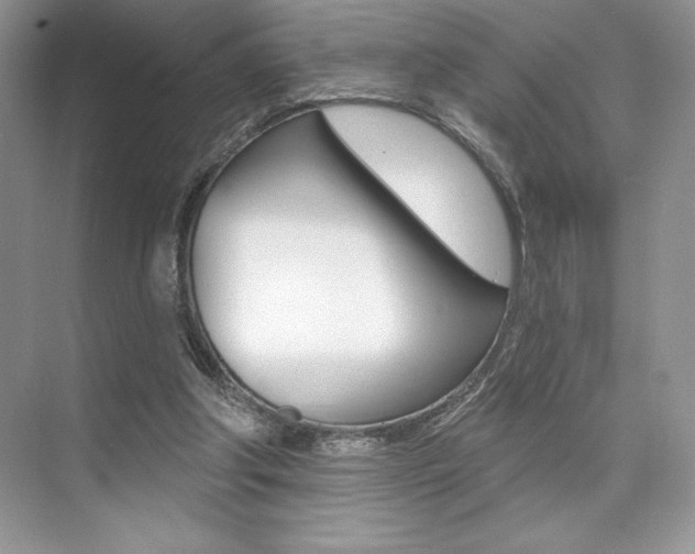 X0000073830202200608101010