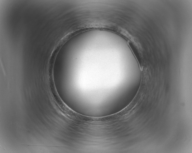 X0000073830203200608101010