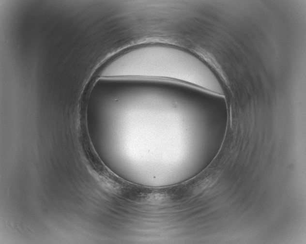 X0000073830204200608101010