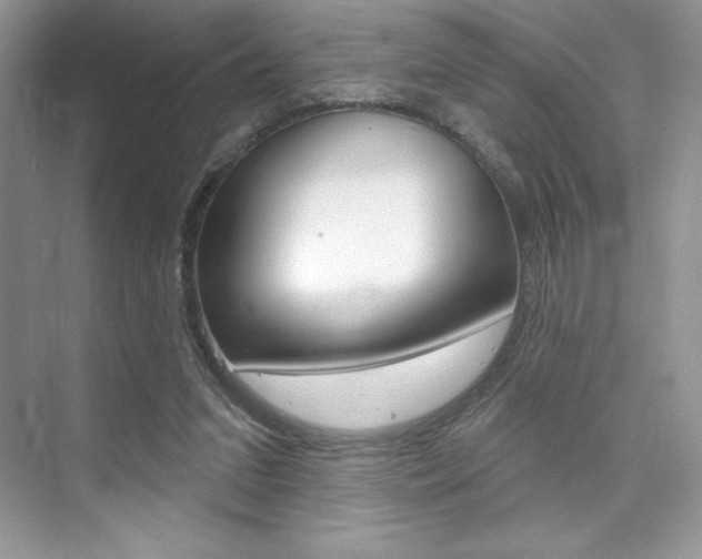 X0000073830207200608101010