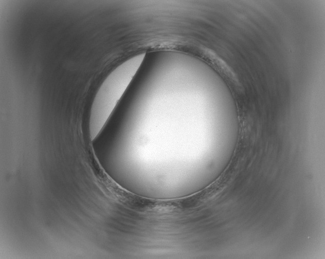 X0000073830209200608101010