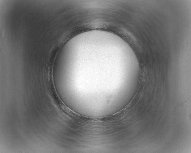 X0000073830210200608101010